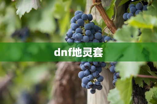 dnf地灵套