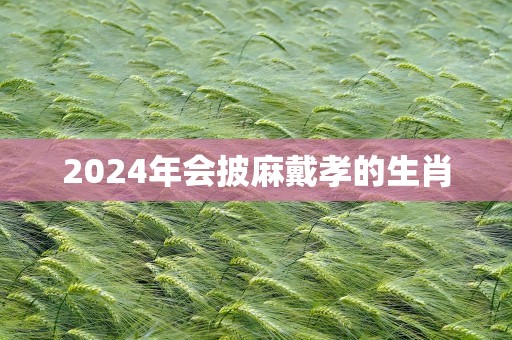 2024年会披麻戴孝的生肖