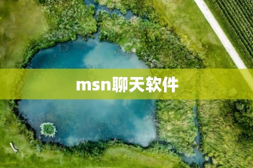 msn聊天软件