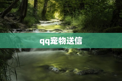 qq宠物送信