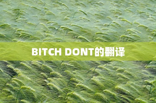 BITCH DONT的翻译