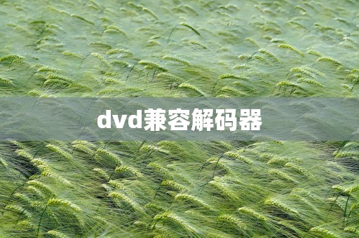 dvd兼容解码器