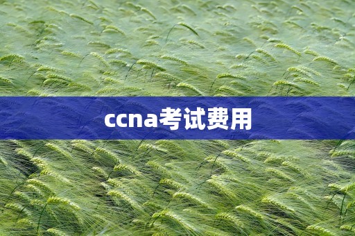 ccna考试费用