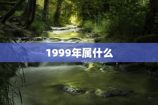 1999年属什么