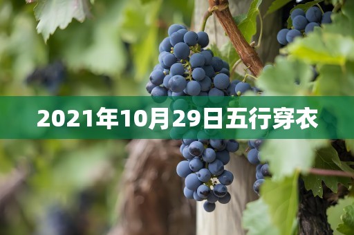 2021年10月29日五行穿衣