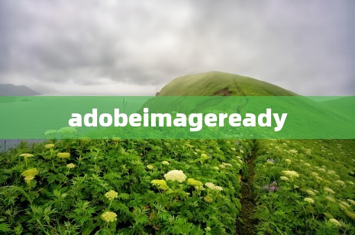 adobeimageready