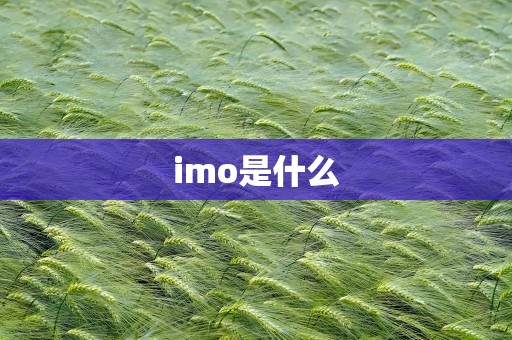 imo是什么