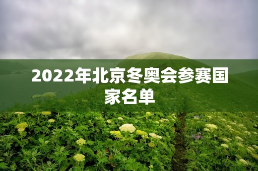 2022年北京冬奥会参赛国家名单