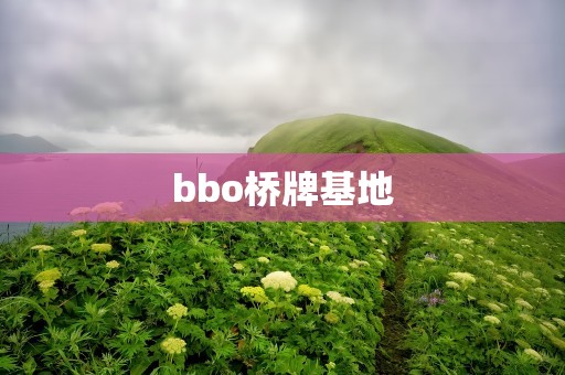 bbo桥牌基地