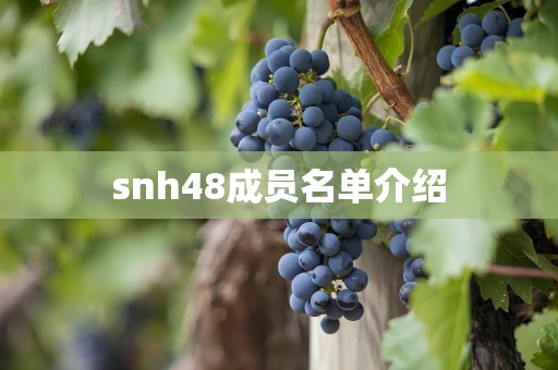 snh48成员名单介绍