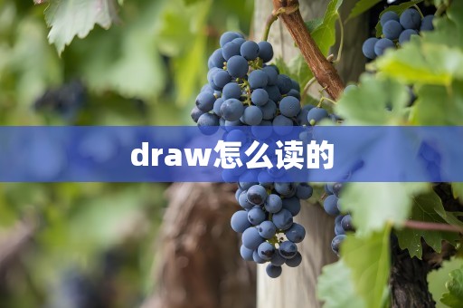 draw怎么读的