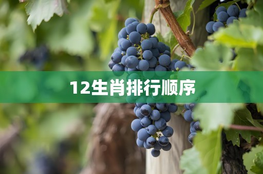 12生肖排行顺序