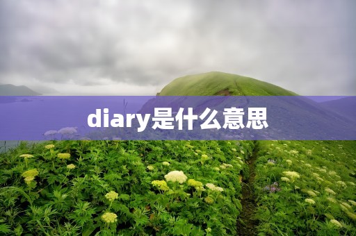 diary是什么意思