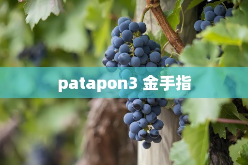 patapon3 金手指