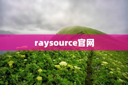 raysource官网