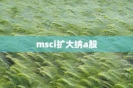 msci扩大纳a股