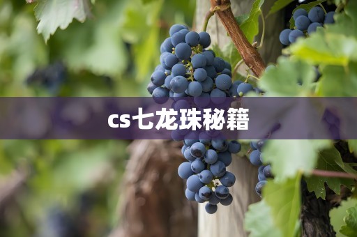 cs七龙珠秘籍