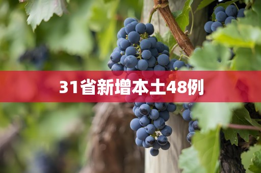 31省新增本土48例