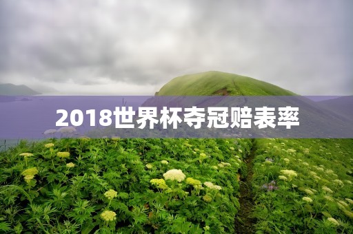 2018世界杯夺冠赔表率