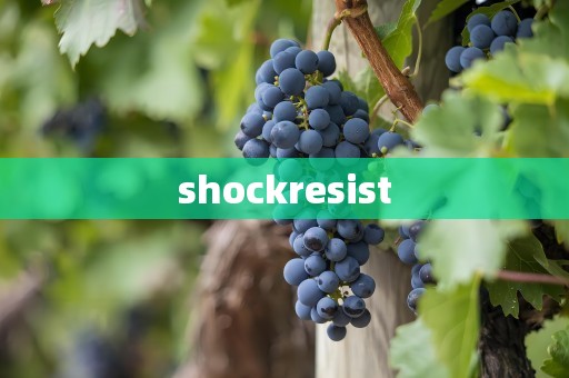 shockresist