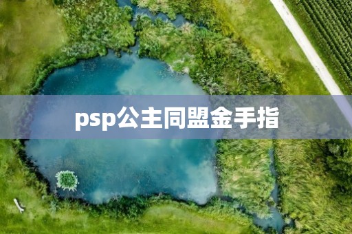 psp公主同盟金手指