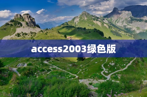 access2003绿色版