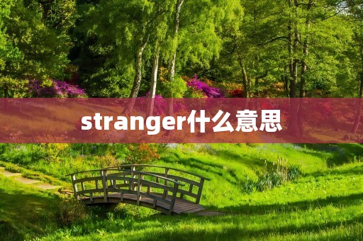 stranger什么意思