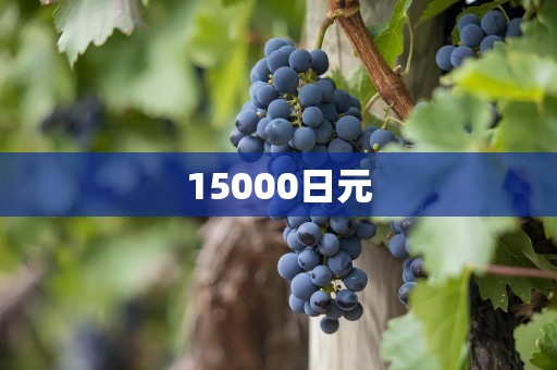 15000日元