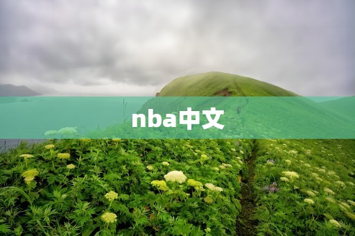 nba中文