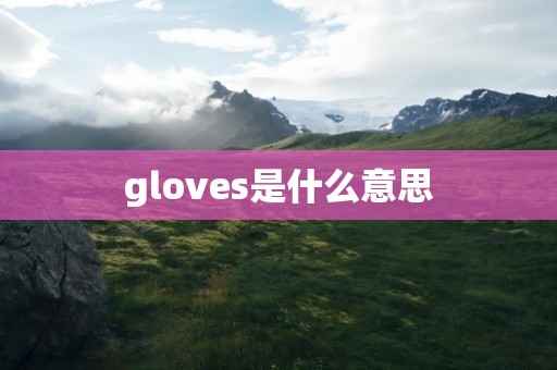 gloves是什么意思