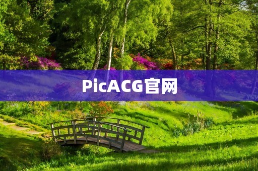 PicACG官网