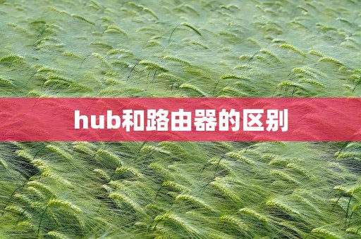 hub和路由器的区别