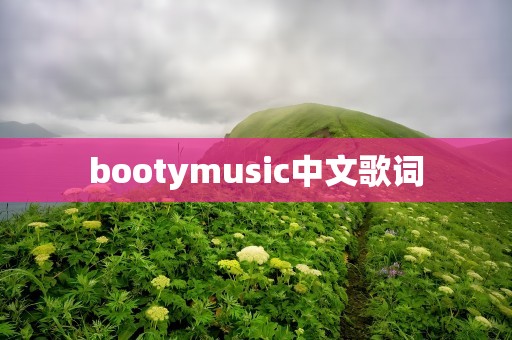 bootymusic中文歌词