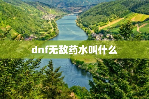 dnf无敌药水叫什么