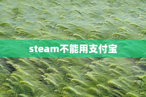 steam不能用支付宝