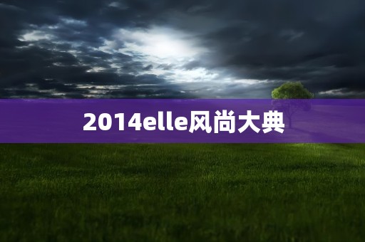 2014elle风尚大典