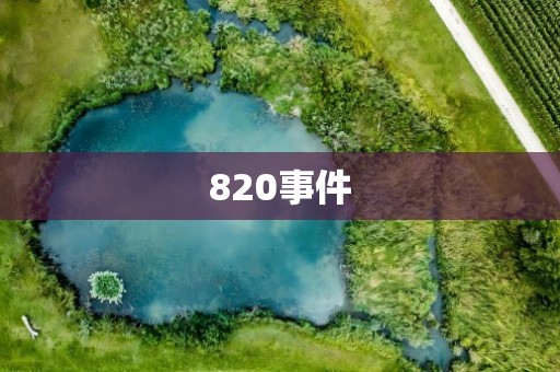 820事件