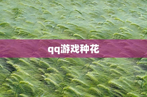 qq游戏种花