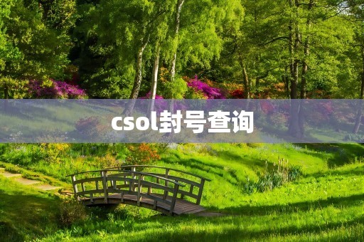 csol封号查询