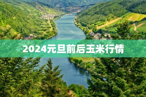 2024元旦前后玉米行情