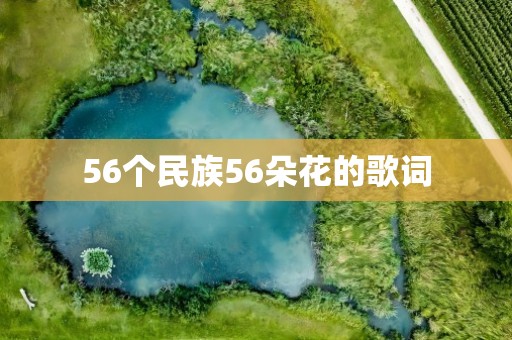 56个民族56朵花的歌词