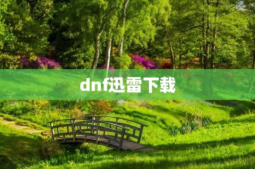 dnf迅雷下载