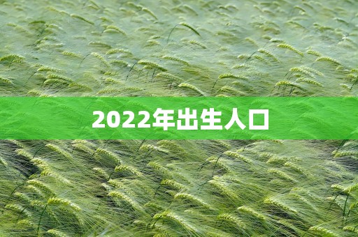 2022年出生人口