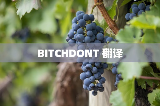 BITCHDONT 翻译