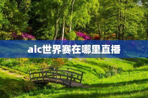 aic世界赛在哪里直播