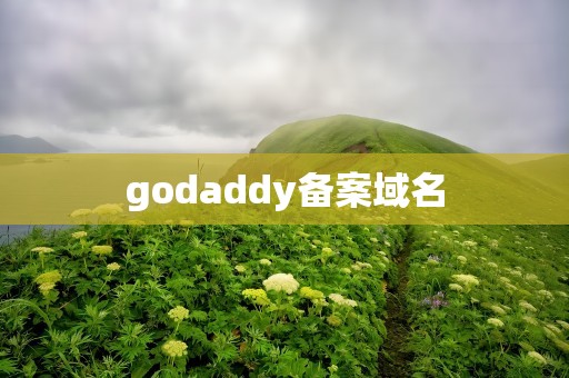 godaddy备案域名