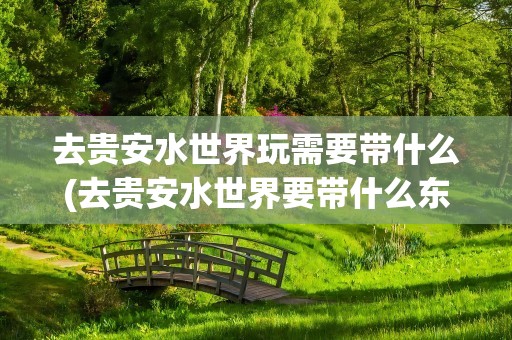 去贵安水世界玩需要带什么(去贵安水世界要带什么东西)