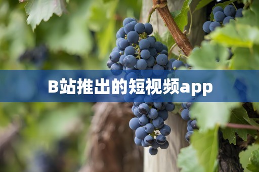 B站推出的短视频app