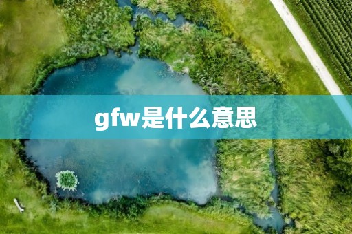 gfw是什么意思