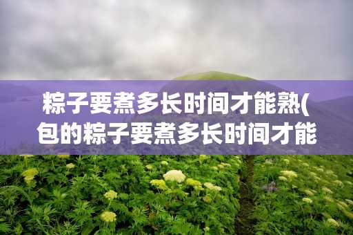 粽子要煮多长时间才能熟(包的粽子要煮多长时间才能熟)